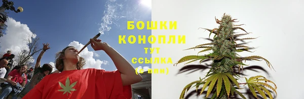 PSILOCYBIN Абдулино