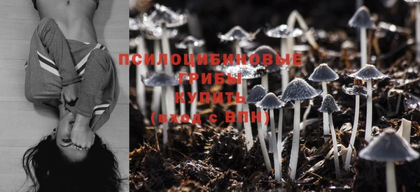 PSILOCYBIN Абдулино
