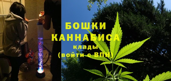 PSILOCYBIN Абдулино