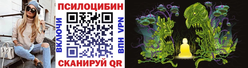 Псилоцибиновые грибы GOLDEN TEACHER Касли