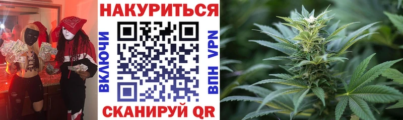 Бошки Шишки планчик  Касли 